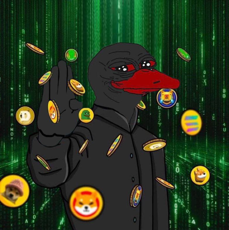 DUDU in a Matrix-like setting with crypto coins